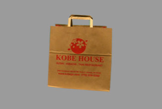 Printed Paper Carry Bag Sample